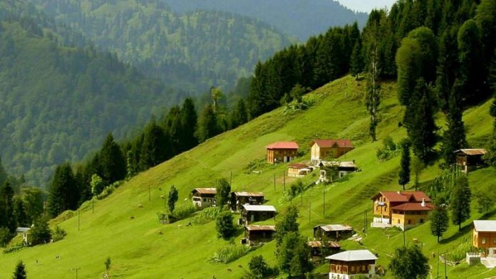 yayla